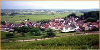 Domaine Jean-Marc Bouley